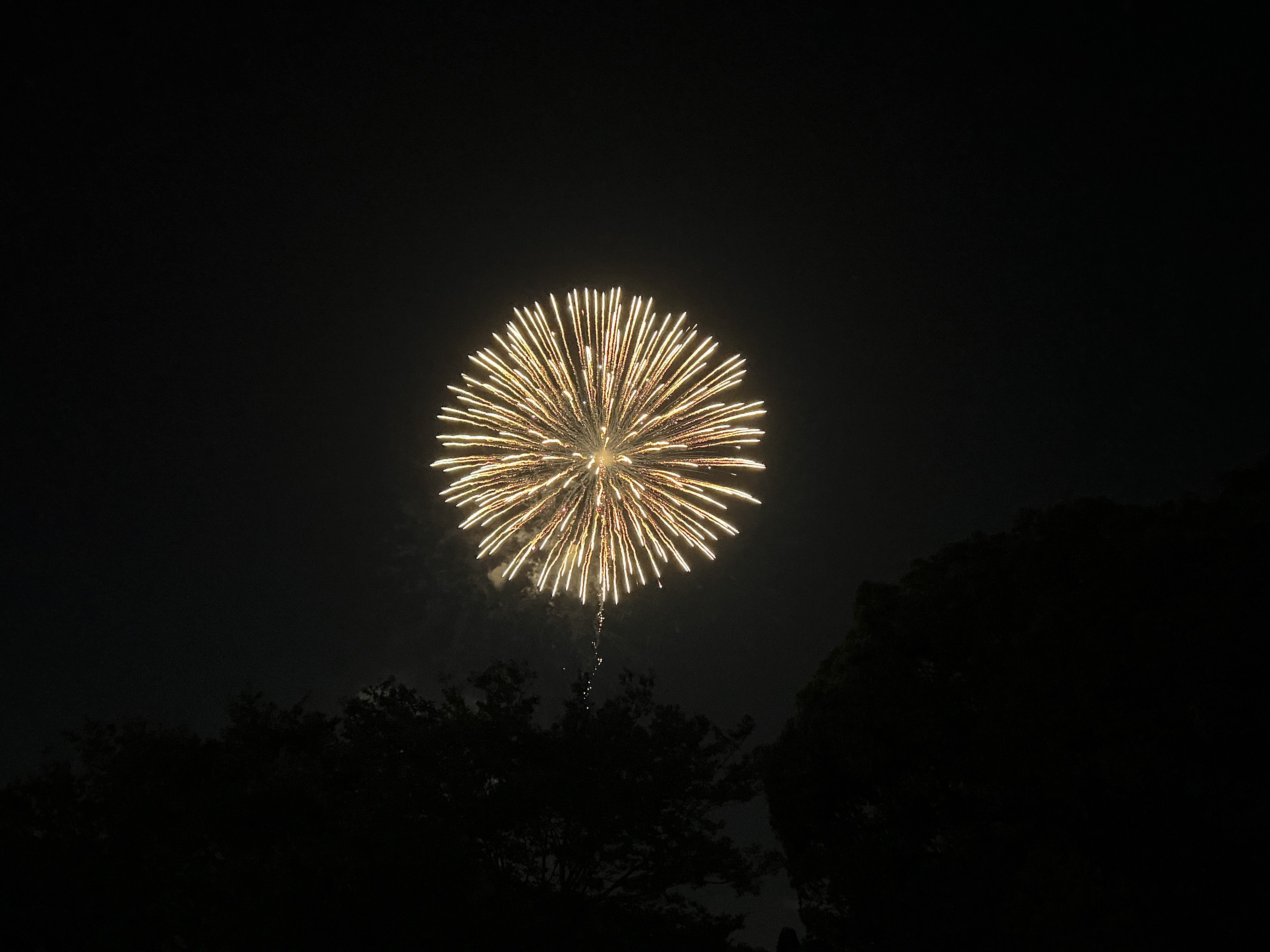 hanabi3.png